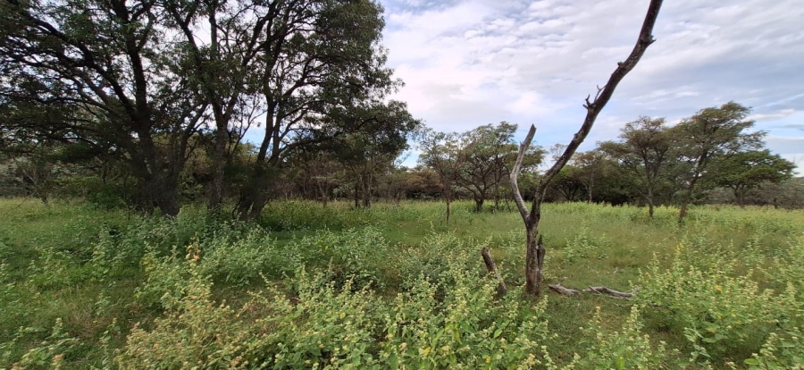 2 Bedroom Property for Sale in Koster North West